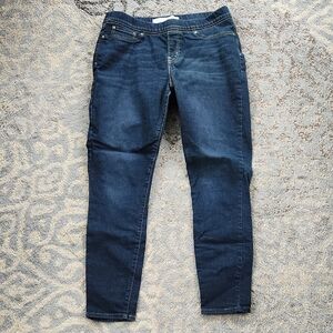 Levi Strauss Signature Totally Shaping Pull On Skinny Jean Dark Blue 14